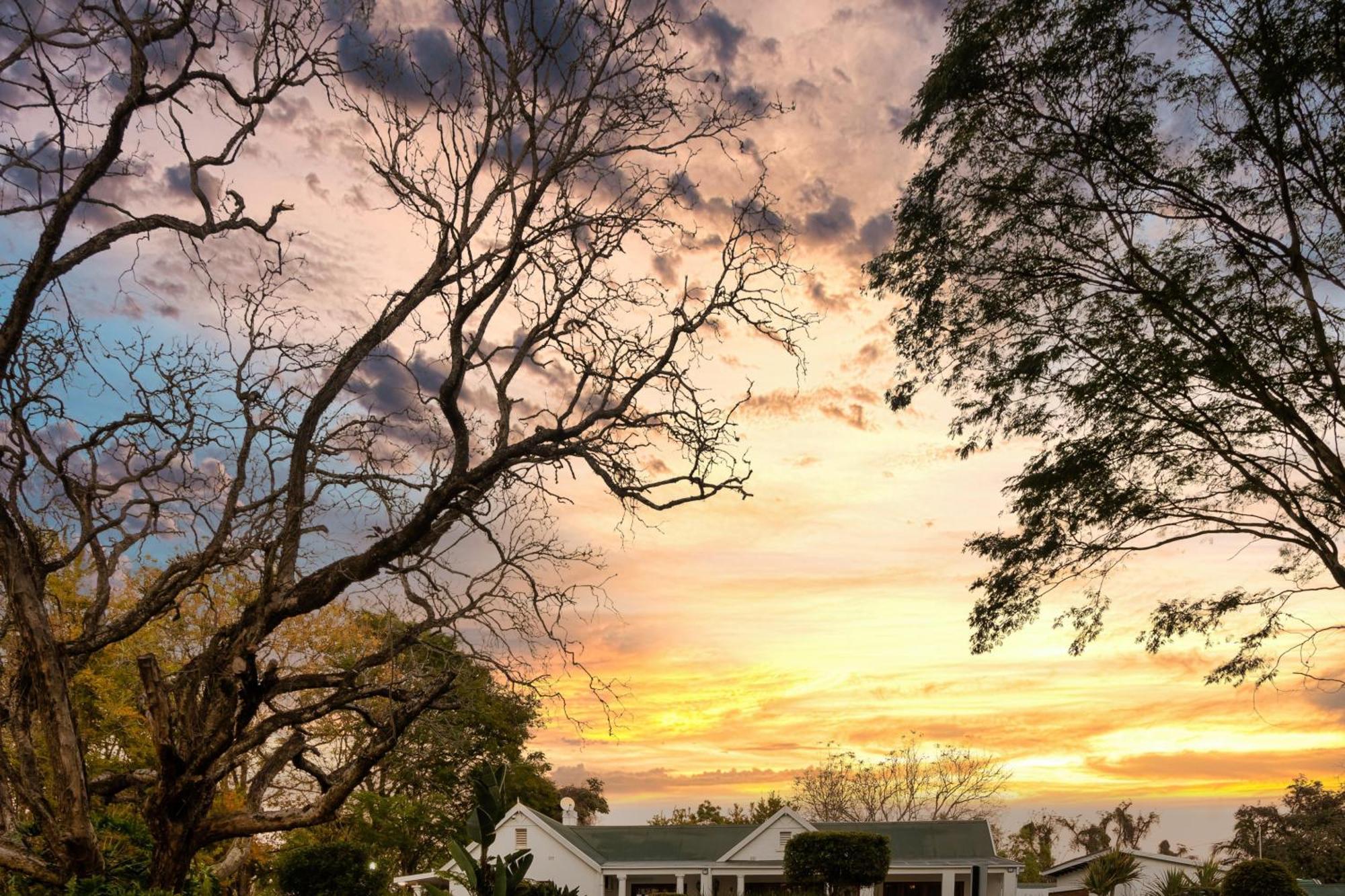 Nut Grove Boutique Hotel White River Dış mekan fotoğraf